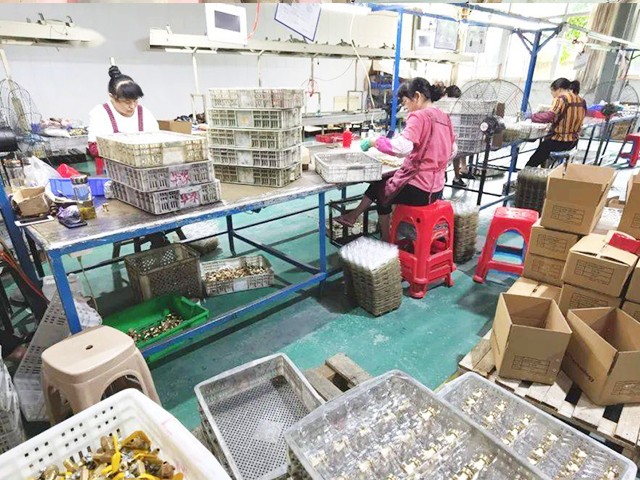 安徽康源不銹鋼水管出口新加坡 銅閥門出口韓國